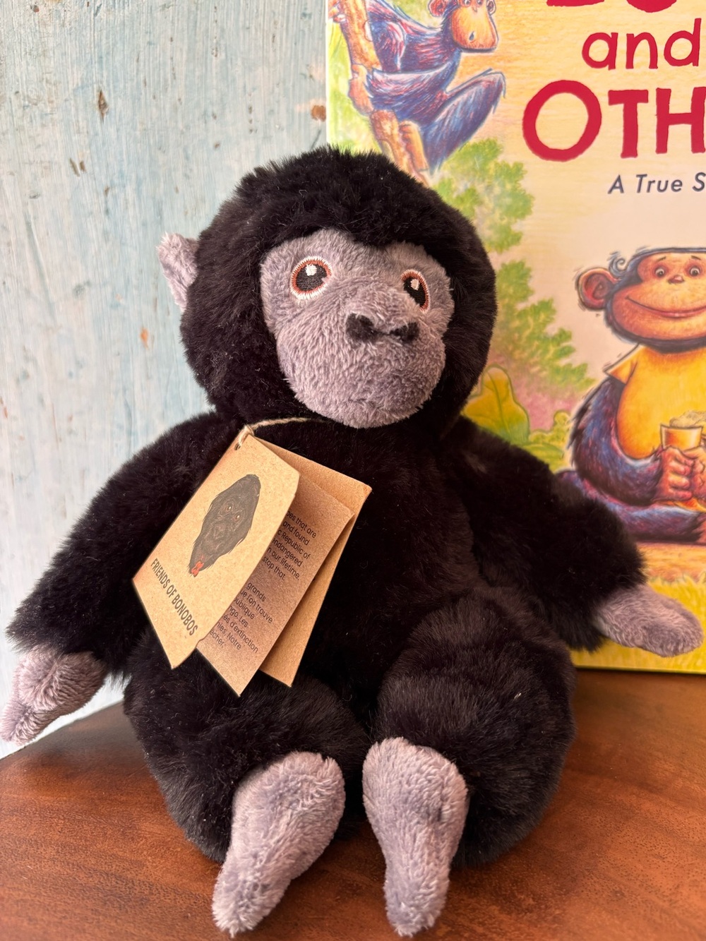 From Lola ya Bonobo Sanctuary, “Lulu & the Others” Book & Plush Bonobo Gift Set - Picture 13 of 14